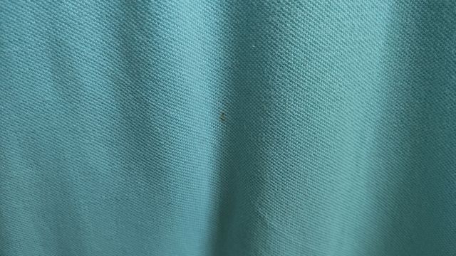 Polo Ralph Lauren turquesa