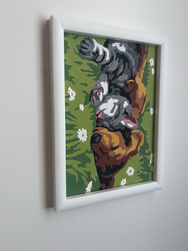 Cuadro: Gato y Perro durmiendo