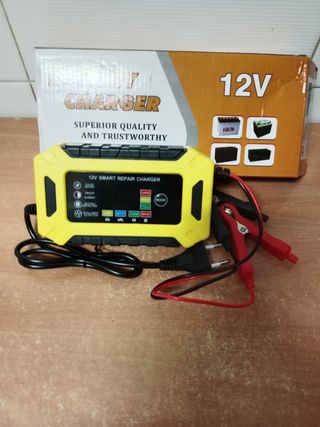 Cargador baterías 12V - 6A