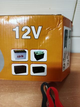 Cargador baterías 12V - 6A
