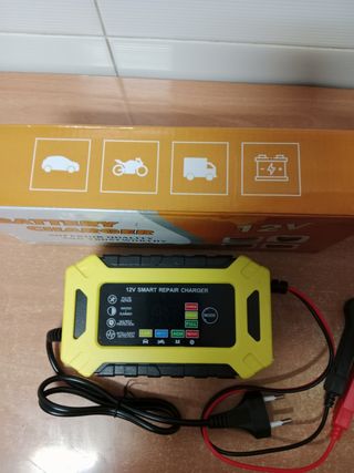 Cargador baterías 12V - 6A