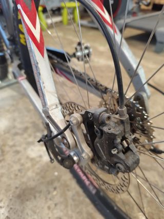 Mondraker Curve - Bicicleta descenso
