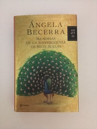 Memorias de un sinvergüenza de siete suelas