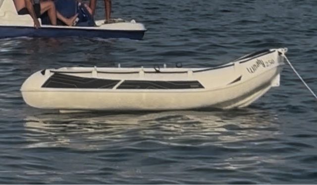 Barco Whaley 270 - Motor Mariner 9.9cv