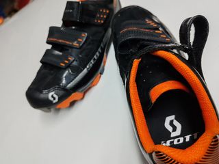 Scott 43 calas 