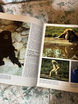 Enciclopedia Il mondo degli animali
