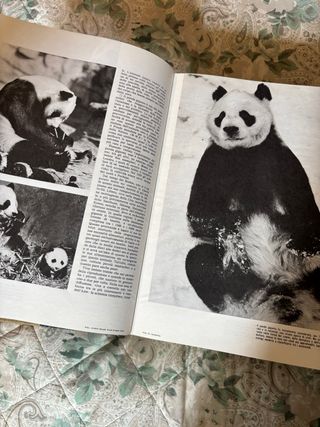 Enciclopedia Il mondo degli animali
