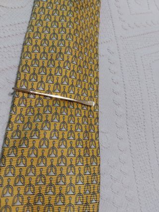 Pasador de corbata dorado .