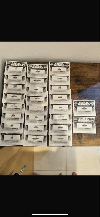 LOTE SEGUNDA EDICIÓN LIGA ESTE 2025/26 PANINI