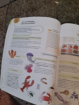 Ciencias da Natureza tercero. Anaya