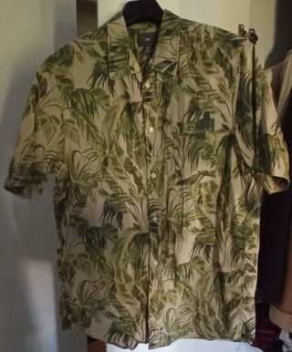 Camisas a cuadros, lisa y chaqueta(c)