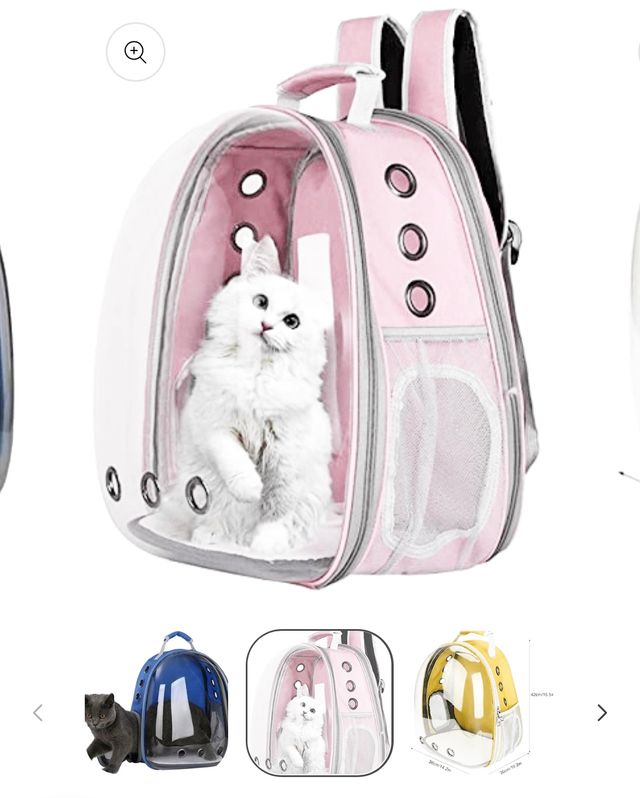 Mochila transparente para gato