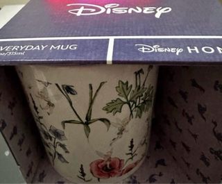 pack  Campanilla Disney