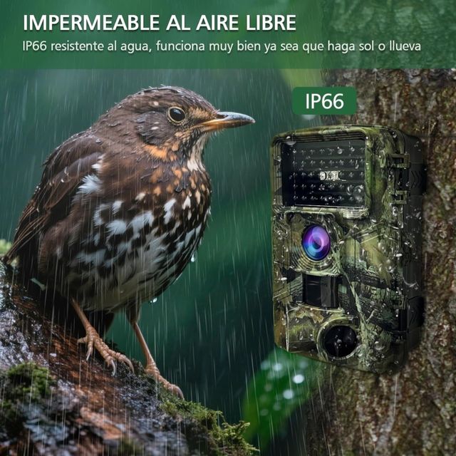 Cámara caza HAZA PR800