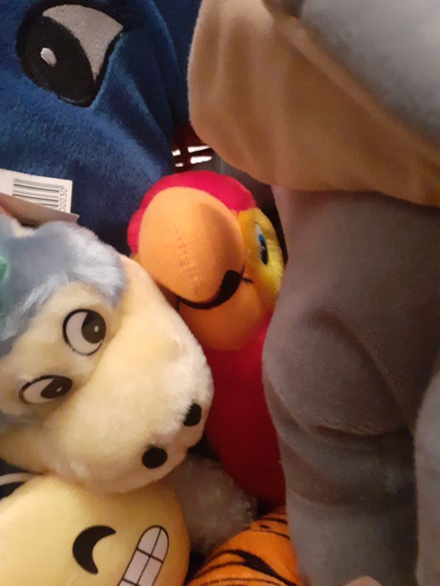 Set peluche luna e animali. Affarissimo.