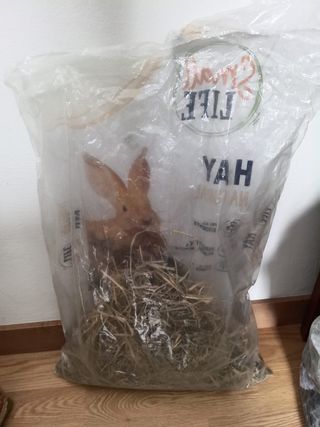 Jaula conejos - Azul y Gris