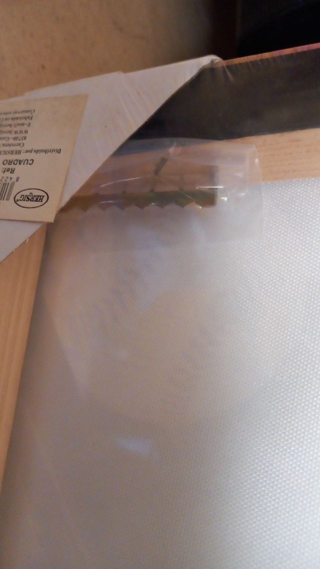 Cuadro béisbol vintage y marcó de fotos. 