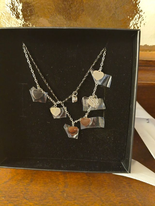 Collana doppia cuori acciaio