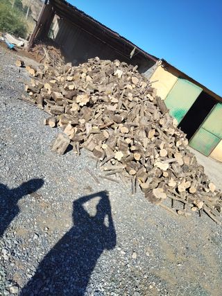 Leña de caña de oliva  para chimeneas,calderas ect