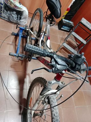 Bicicleta montaña + rodillo.