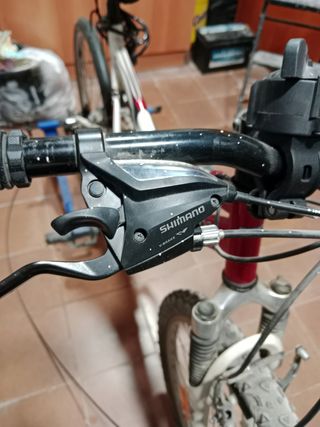 Bicicleta montaña + rodillo.