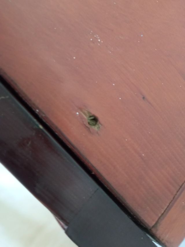 Vitrina madera - 2 puertas