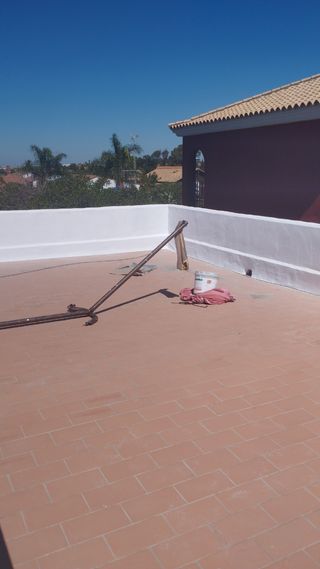 trabajos de jardineria,piscina,pintura y pequenas 