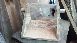 Trampa avispas velutina casera