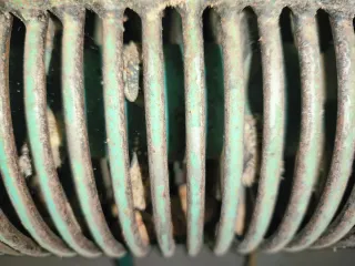 Máquina peladora almendras