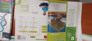 Super Scienziati A, B, C e D