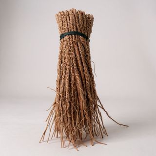 Vétiver/khamaré (100 radici)