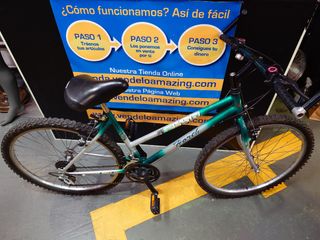 Bicicleta Horch H650 niña 10-14