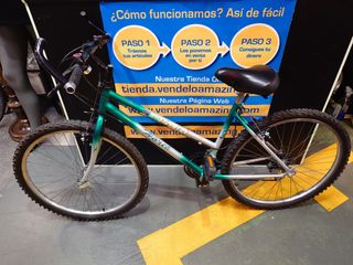 Bicicleta Horch H650 niña 10-14
