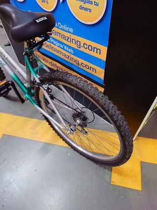 Bicicleta Horch H650 niña 10-14