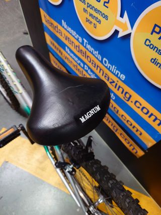 Bicicleta Horch H650 niña 10-14