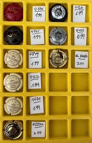 Lote 21 Chapas de Cava