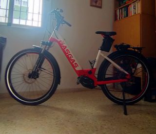 Bicicleta eléctrica GasGas Dual Cross