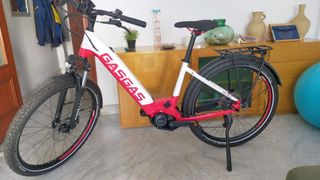 Bicicleta eléctrica GasGas Dual Cross
