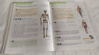Natural Science 5. Pupil's Book. Anaya