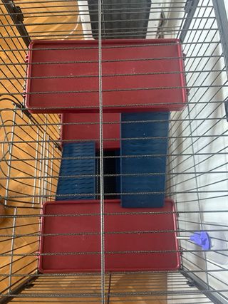 Jaula hurón ICA 50. 3 pisos