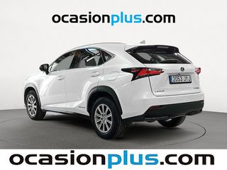 Lexus NX 300h Business Navigation 2WD 145 kW (197 CV)