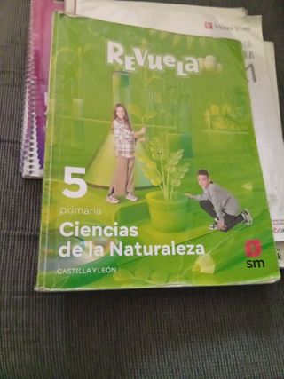Libros de texto 5 primaria 