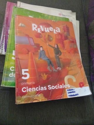 Libros de texto 5 primaria 