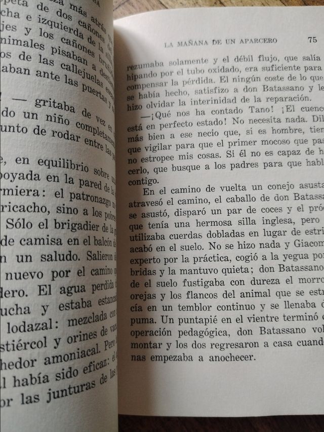 EL PROFESOR Y LA SIRENA Y OTROS RELATOS