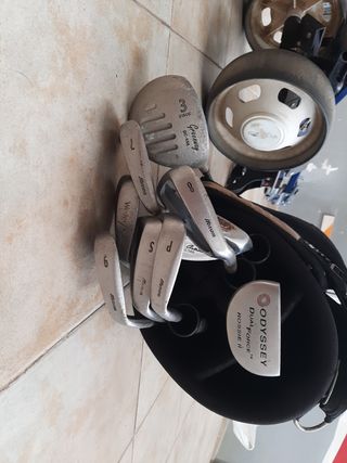 Bolsa Inesis golf +Carro Easiglide +Palos Mizuno