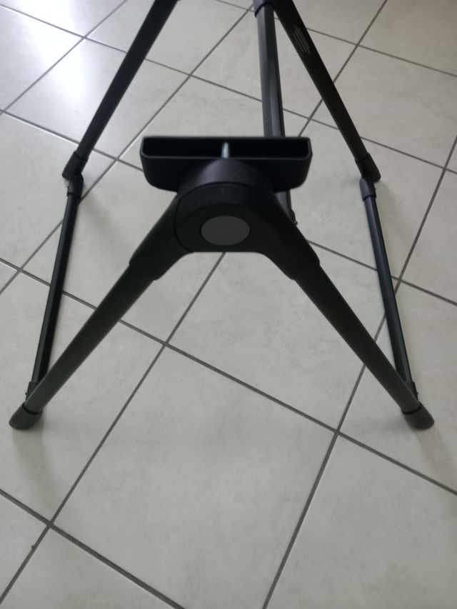 Inglesina Standup per navicella Aptica/electa