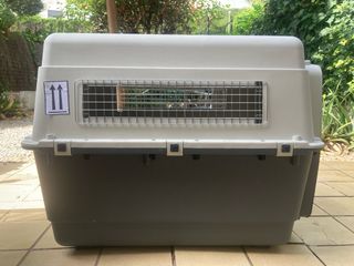 ALQUILER Transportin IATA perro grande