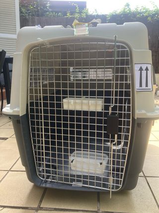 ALQUILER Transportin IATA perro grande