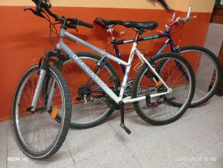 Bicicleta montaña