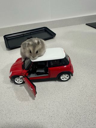 Mini cooper Clasico 1995